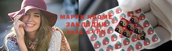 гидра Бородино