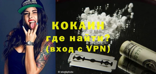 гидра Бородино